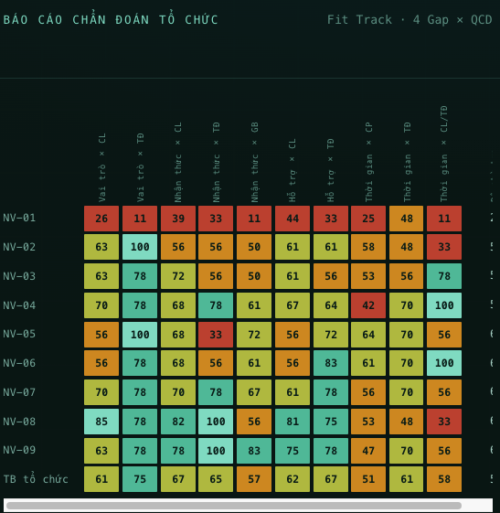Báo cáo chẩn đoán tổ chức Fit Track theo khung 4 Gap × QCD